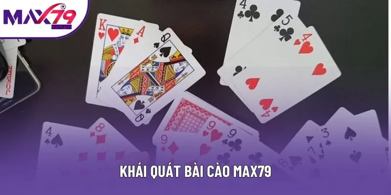 Khái quát Bài cào MAX79