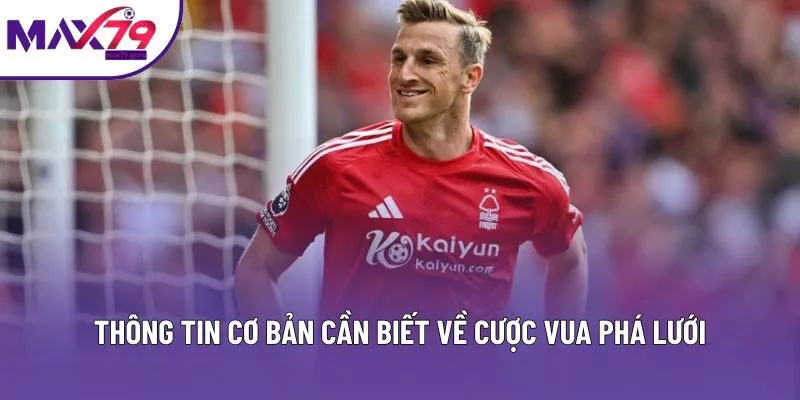 Thông tin cơ bản cần biết về cược vua phá lưới Thông tin cơ bản cần biết về cược vua phá lưới