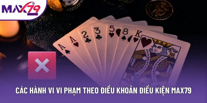 Các hành vi vi phạm theo điều khoản điều kiện MAX79