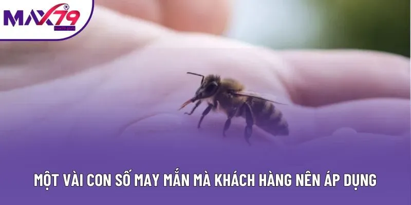 Một vài con số may mắn mà khách hàng nên áp dụng