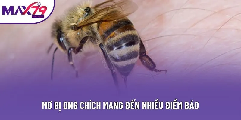 Mơ bị ong chích mang đến nhiều điềm báo