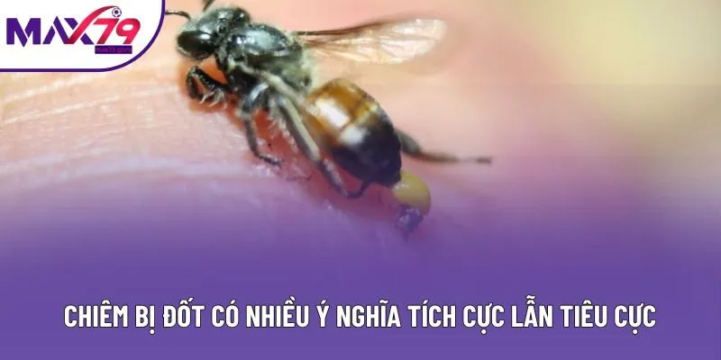 Chiêm bị đốt có nhiều ý nghĩa tích cực lẫn tiêu cực